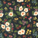 Fruit Loop - In Season - Black Currant