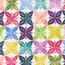 Soulstice Canvas - Slow Stroll - Rainbow