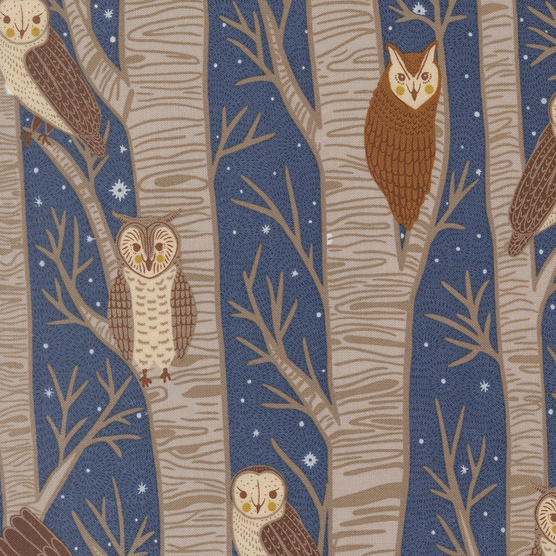 Night Owl - Night Owl - Dusk