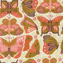 Night Owl - Butterfly - Cloud