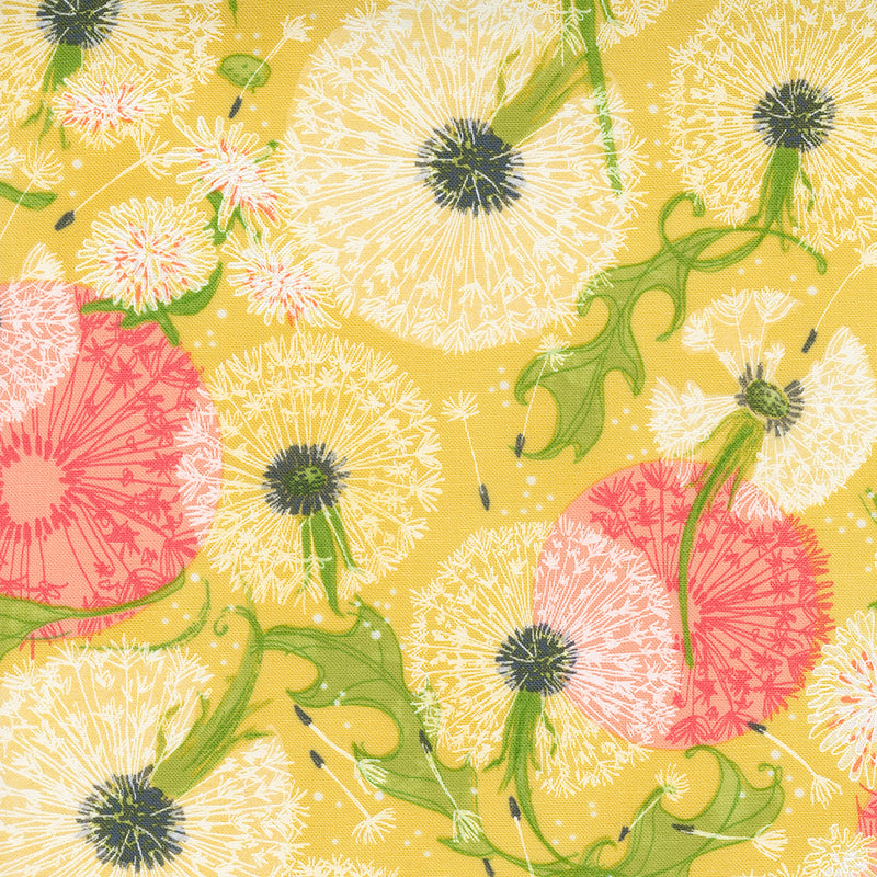 Dandi Duo - Dandi Toile - Maize