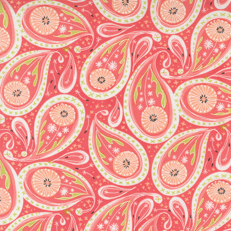 Dandi Duo - Paisley - Coral