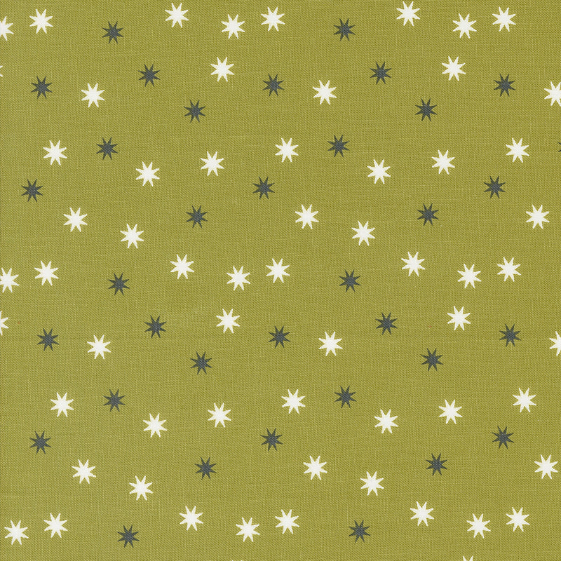 Hey Boo - Practical Magic Stars - Witchy Green