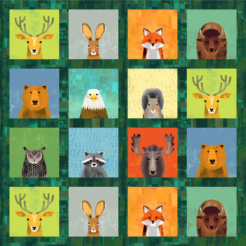 Wild North - Wildlife Portraits - Forest