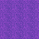 West Palm Beach - Beau - Purple