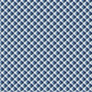 Front Porch - Picnic Gingham - Sky