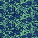 Sweet Talk - Kim - Sea Green