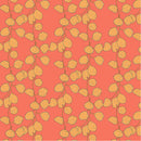 Sunshine - Honesty - Coral