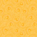 Cats Around Town - Zoomies - Sunshine