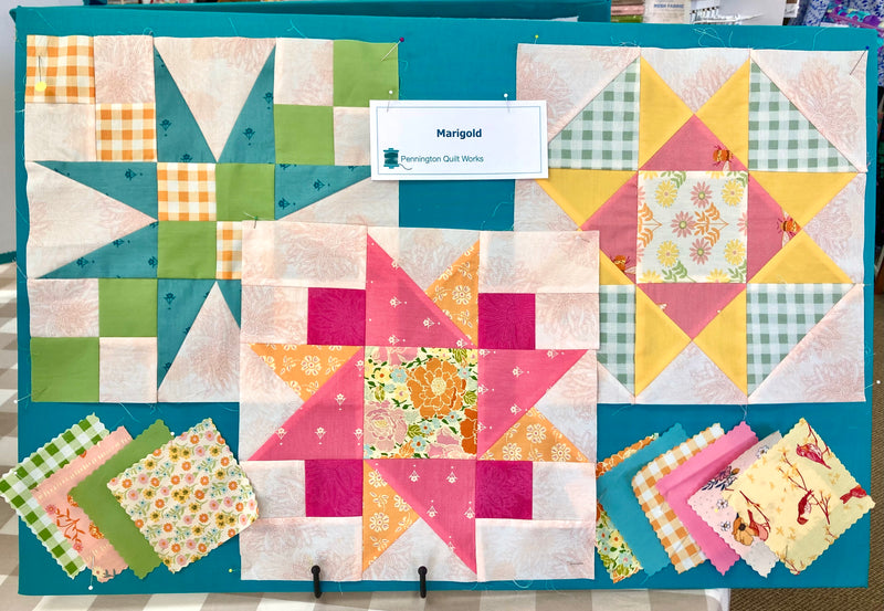 Marigold Registration