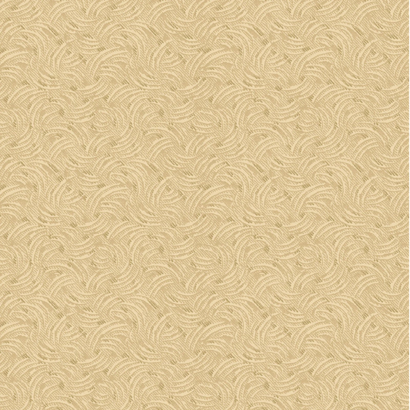 Apple Cider - Wave - Natural