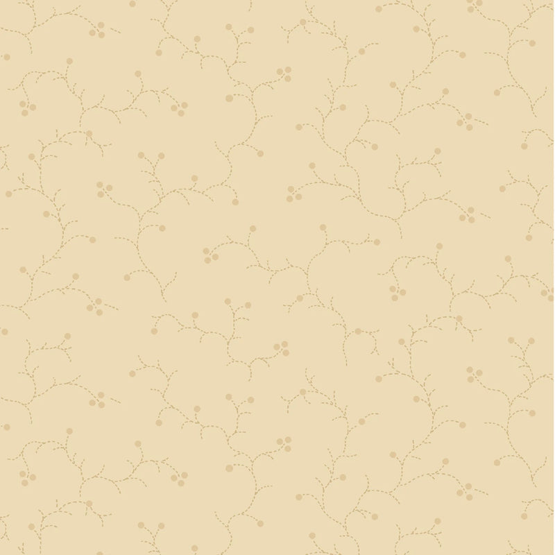 Apple Cider - Vine - Natural