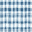 Firework Fields - Gingham - Blue