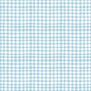 Firework Fields - Gingham - Light Blue