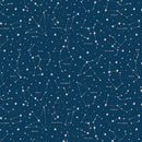 Reach for the Stars with NASA - Constellations - Navy