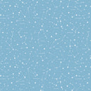 Reach for the Stars with NASA - Constellations - Sky