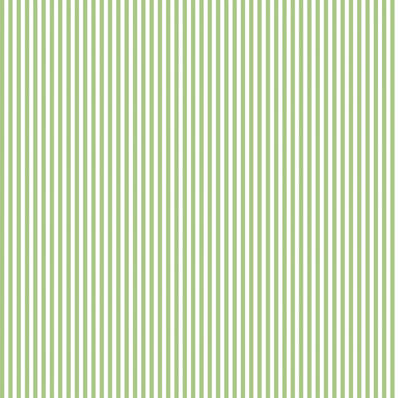 Seasonal Basics - 1/8" Stripe - Green