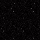 Seasonal Basics - Dapple Dot - Black