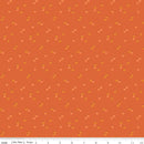 Seasonal Basic - Pumpkins - Orange