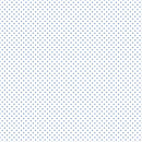 Swiss Dot - Denim on White