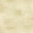 Golden Hour - Canvas Blender - Light Green