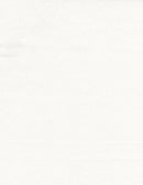 Whiteout - Crackle - White