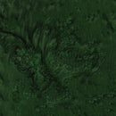 Batik Basics - Glorious Greens - Hunter