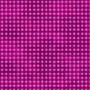 Jewel - Gingham - Fuschia