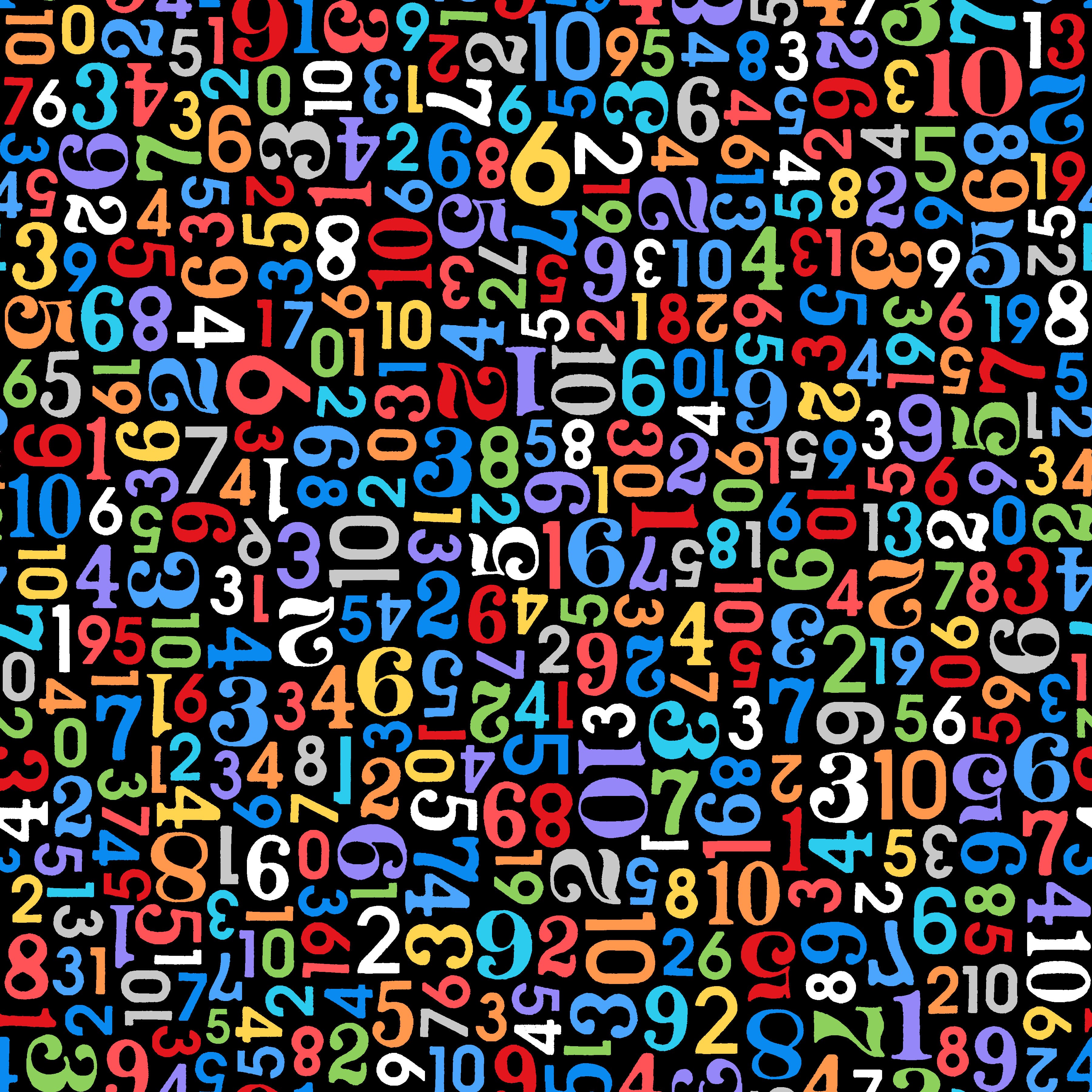 Playtime Flannel - Numbers - Black/Multi