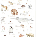 ABCs of Love - My Animal Alphabet 24" Panel - White