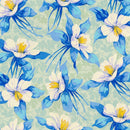 Nation of Flowers - Columbine - Sky