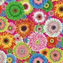 Kaffe August 2026 - Gerbera Daisies - Bright