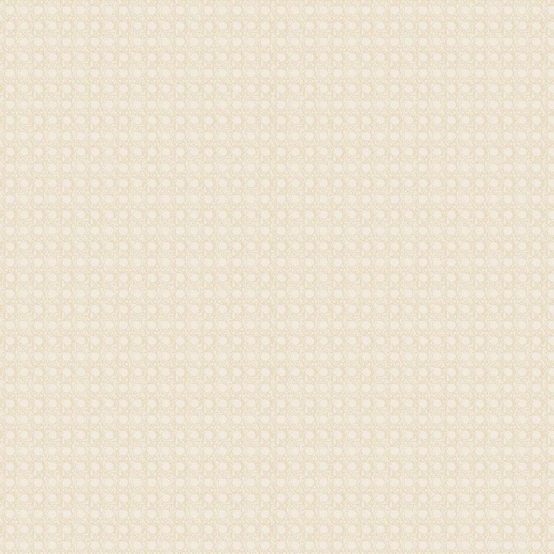 Complements Basics - Caning - Mellow