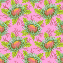 Floral Reef - Friends & Anemones - Coralline