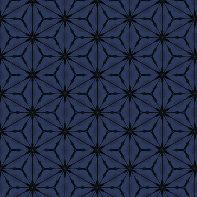 Kaleidoscope - Bloom - Nocturnal
