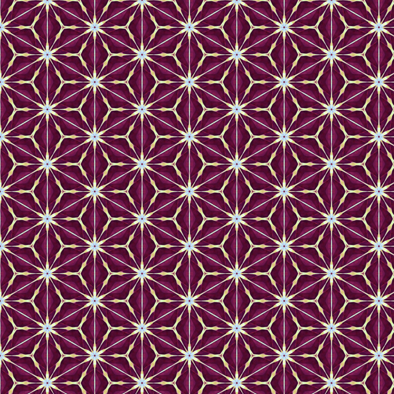 Kaleidoscope - Amaryllis - Claret