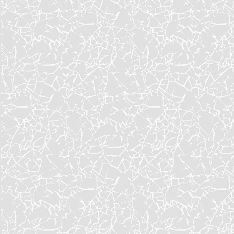 Ramblings - Cracked Texture - White on White