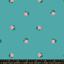 Rise and Shine - Tangerines - Succulent