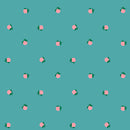 Rise and Shine - Tangerines - Succulent