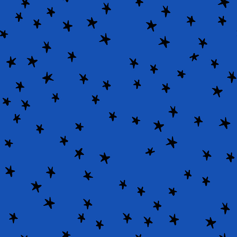 Starry - Blue Ribbon