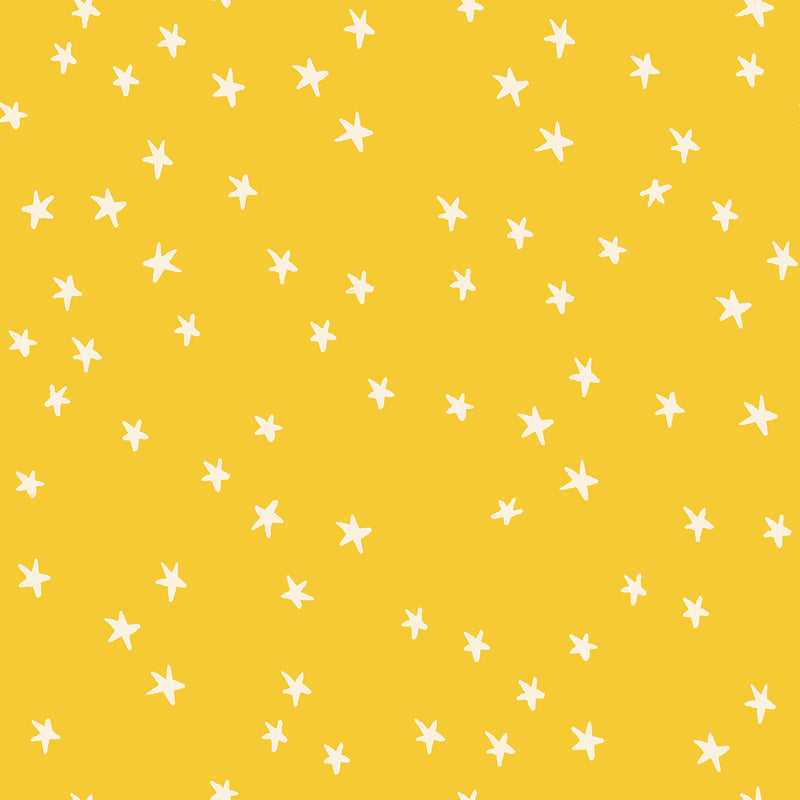 Starry - Sunshine