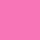 Spin Basic - Carnation