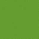 Spin Basic - Parakeet