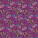 Sunrise Sunset - Midnight Moonlight