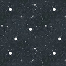 Moon Garden - Stargazing - Midnight