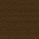 Whimsy 2 - Dotty Triangles - Brown