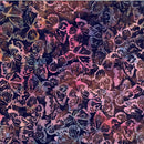 Huckleberry - Butterflies - Sierra