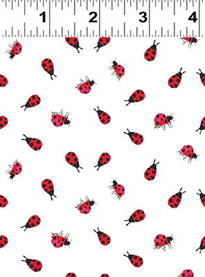 Summer Splash - Ladybugs - White