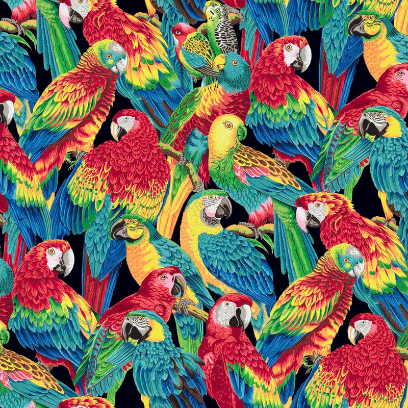 Treasure Island - Polly Parrots - Black